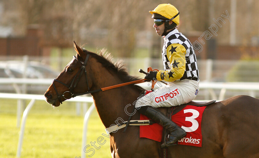 Talkischeap-0001 
 TALKISCHEAP (Wayne Hutchinson)
Newbury 30 Nov 2018 - Pic Steven Cargill / Racingfotos.com