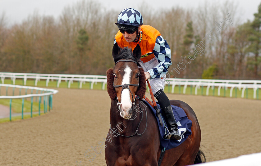 Haraz-0001 
 HARAZ (Dougie Costello) Lingfield 13 Dec 2017 - Pic Steven Cargill / Racingfotos.com