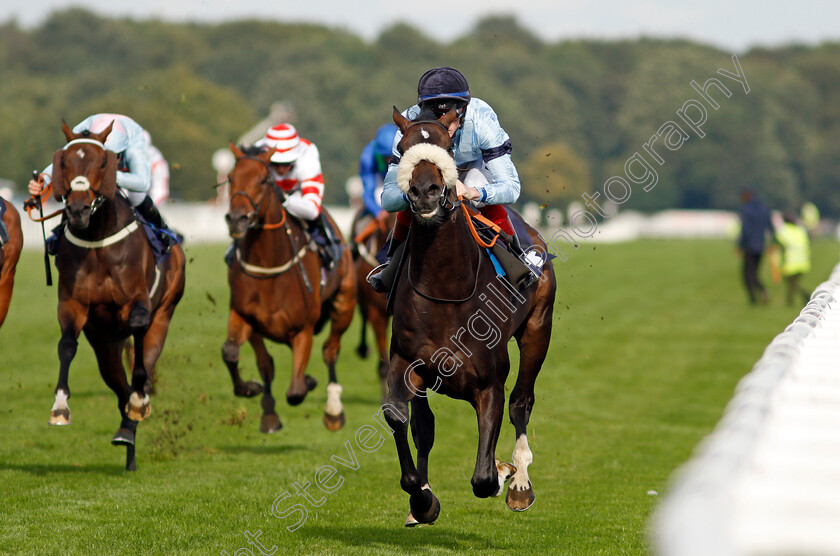 Title-0005 
 TITLE (David Egan) wins The Hippo Pro 3 Handicap
Doncaster 11 Sep 2021 - Pic Steven Cargill / Racingfotos.com