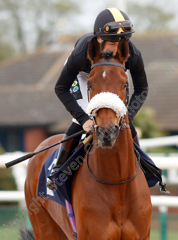 Ranch-Hand-0001 
 RANCH HAND (William Carver) winner of The Sky Sports Racing Sky 415 Novice Median Auction Stakes
Southwell 29 Apr 2019 - Pic Steven Cargill / Racingfotos.com