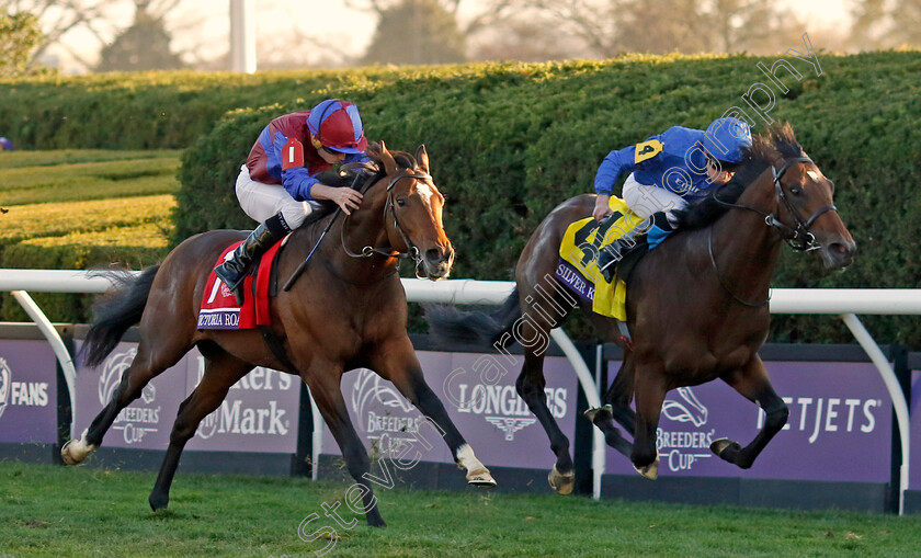 Victoria-Road-0004 
 VICTORIA ROAD (left, Ryan Moore) beats SILVER KNOTT (right) in the Breeders' Cup Juvenile Turf 
Breeders Cup Meeting, Keeneland USA, 4 Nov 2022 - Pic Steven Cargill / Racingfotos.com