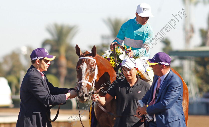 British-Idiom-0011 
 BRITISH IDIOM (Javier Castellano) after The Breeders' Cup Juvenile Fillies
Santa Anita USA 1 Nov 2019 - Pic Steven Cargill / Racingfotos.com