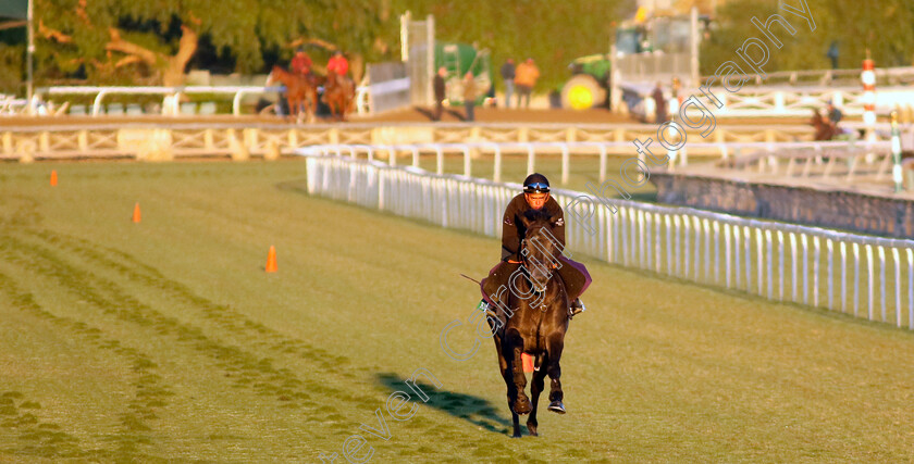 King-Of-Steel-0005 
 KING OF STEEL training for The Breeders' Cup Turf
Santa Anita 2 Nov 2023 - Pic Steven Cargill / Racingfotos.com