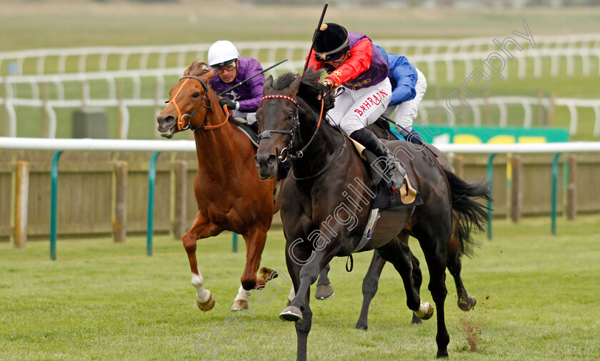 Educator-0004 
 EDUCATOR (Tom Marquand) wins The bet365 Handicap
Newmarket 12 Apr 2022 - Pic Steven Cargill / Racingfotos.com