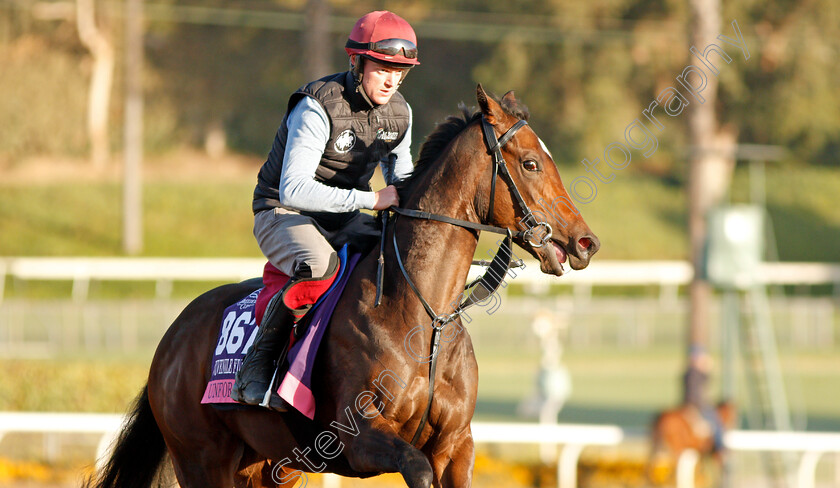 Unforgetable-0002 
 UNFORGETABLE training for the Breeders' Cup Juvenile Fillies Turf
Santa Anita USA 30 Oct 2019 - Pic Steven Cargill / Racingfotos.com