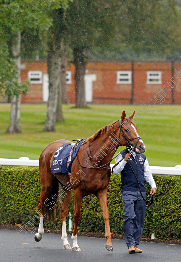 Sovereign-0001 
 SOVEREIGN 
Ascot 25 Jul 2020 - Pic Steven Cargill / Racingfotos.com