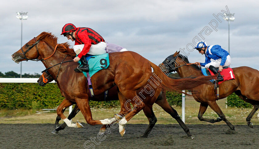 Stormbomber-0002 
 STORMBOMBER (Liam Keniry)
Kempton 3 Sep 2019 - Pic Steven Cargill / Racingfotos.com