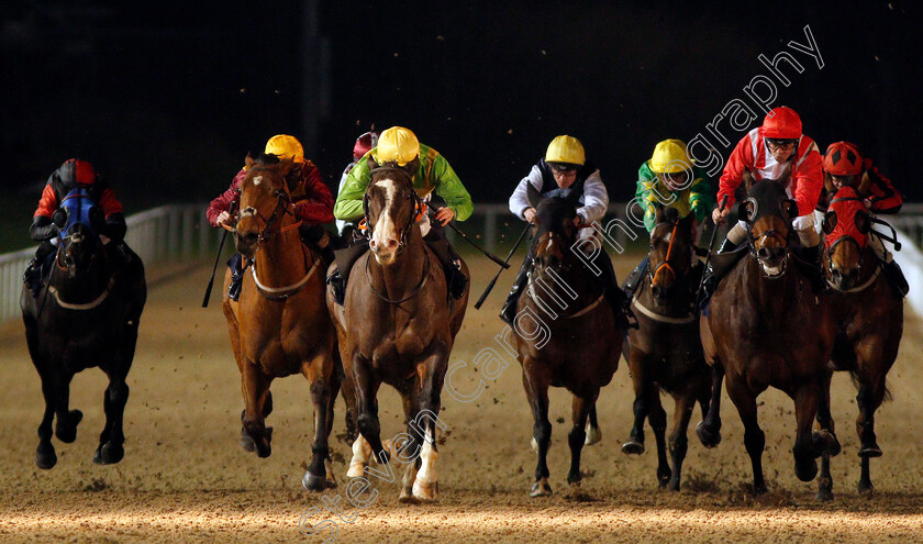 Dynamo-Walt-0003 
 DYNAMO WALT (Lewis Edmunds) wins The Betway Heed Your Hunch Handicap
Wolverhampton 19 Dec 2019 - Pic Steven Cargill / Racingfotos.com