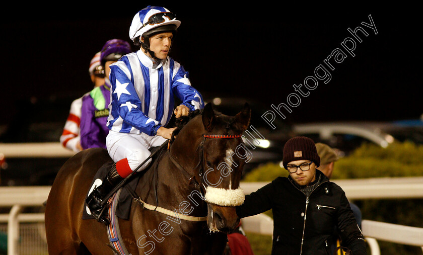 Princely-0001 
 PRINCELY (Theodore Ladd)
Chelmsford 29 Nov 2018 - Pic Steven Cargill / Racingfotos.com