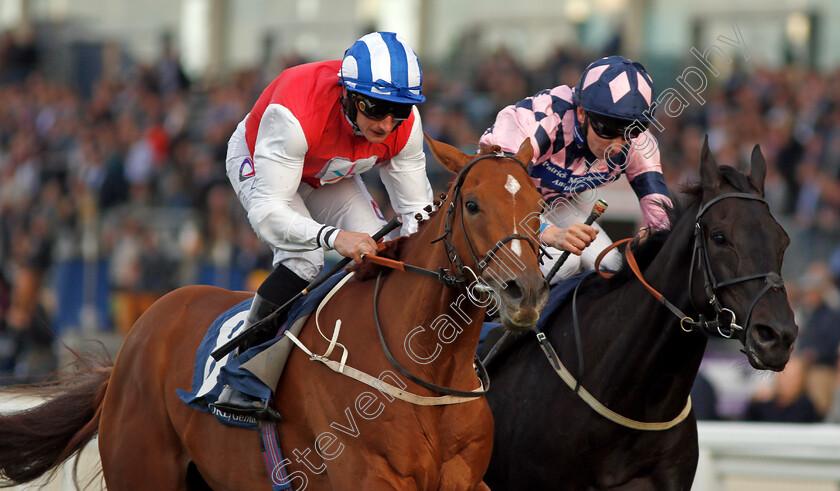 Dominating-0005 
 DOMINATING (left, P J McDonald) beats ALTAAYIL (right) in The Canaccord Genuity Gordon Carter Handicap Ascot 6 Oct 2017 - Pic Steven Cargill / Racingfotos.com