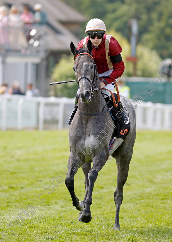 Roman-Mist 
 ROMAN MIST (Richard Kingscote)
Epsom 4 Jun 2022 - Pic Steven Cargill / Racingfotos.com