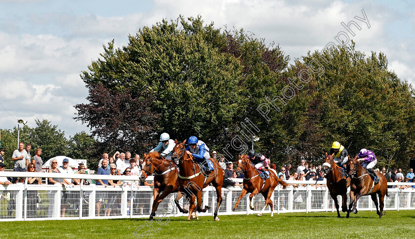 Seneca-Chief-0001 
 SENECA CHIEF (Jack Mitchell) wins The Venture Security Handicap
Salisbury 11 Aug 2021 - Pic Steven Cargill / Racingfotos.com