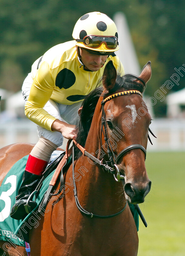 Glenlaurel 
 GLENLAUREL (Andrea Atzeni)
Ascot 23 Jul 2022 - Pic Steven Cargill / Racingfotos.com