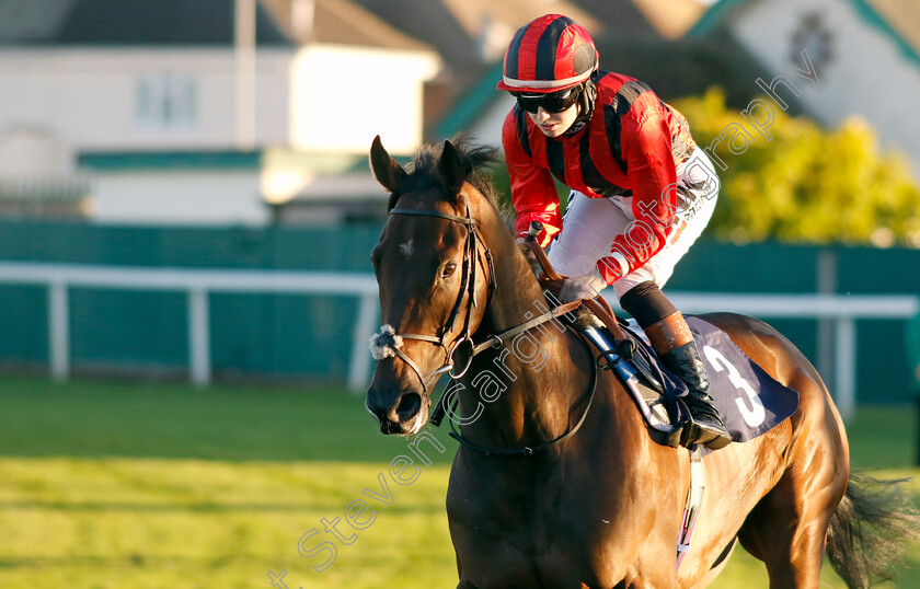 Kingofhell-0002 
 KINGOFHELL (Saffie Osborne)
Yarmouth 18 Oct 2022 - Pic Steven Cargill / Racingfotos.com