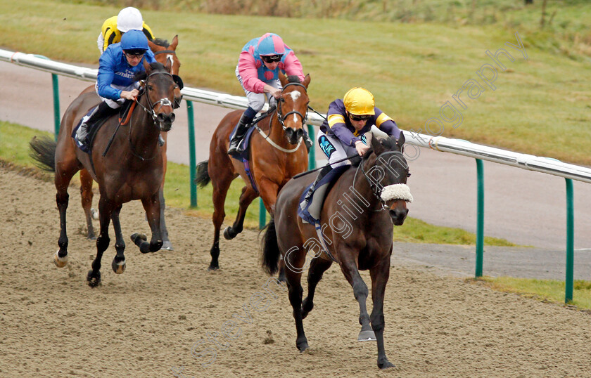 Dancing-Brave-Bear-0004 
 DANCING BRAVE BEAR (Stevie Donohoe) wins The 32Red Casino EBF Fillies Novice Stakes Lingfield 20 Dec 2017 - Pic Steven Cargill / Racingfotos.com