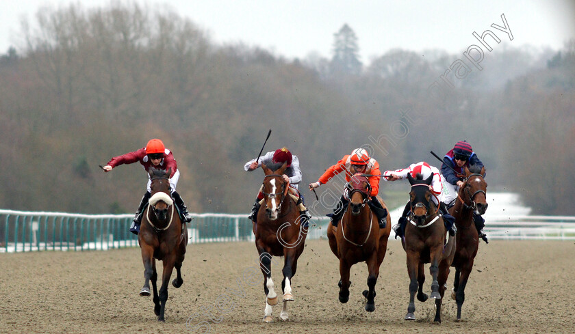 Mango-Tango-0002 
 MANGO TANGO (left, Edward Greatrex) beats TOAST OF NEW YORK (2nd left) GORING (centre) SCARLET DRAGON (2nd right) and NORTH FACE (right) in The Betway Casino Stakes
Lingfield 5 Dec 2018 - Pic Steven Cargill / Racingfotos.com