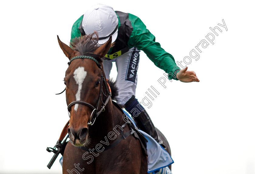 Limato-0009 
 LIMATO (Harry Bentley) wins The Godolphin Stud And Stable Staff Awards Challenge Stakes Newmarket 13 Oct 2017 - Pic Steven Cargill / Racingfotos.com