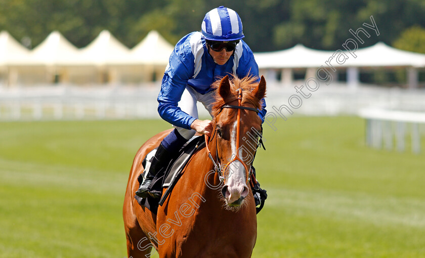 Ehraz-0001 
 EHRAZ (Jim Crowley) winner of The Anders Foundation British EBF Crocker Bulteel Maiden Stakes
Ascot 23 Jul 2021 - Pic Steven Cargill / Racingfotos.com