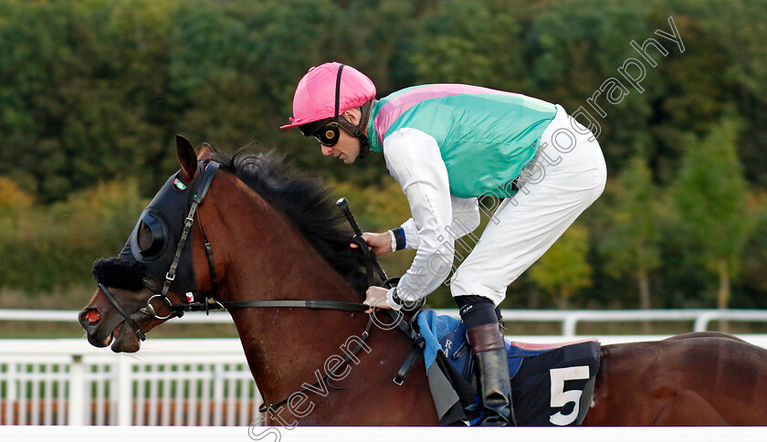 Stanage-0005 
 STANAGE (Robert Havlin) winner of The Betfair Maiden Stakes
Chelmsford 3 Oct 2024 - Pic Steven Cargill / Racingfotos.com