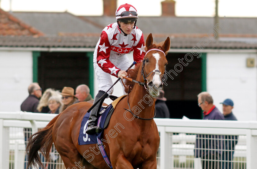 Tennessee-Gold-0001 
 TENNESSEE GOLD (Dylan Hogan)
Yarmouth 16 Oct 2023 - Pic Steven Cargill / Racingfotos.com