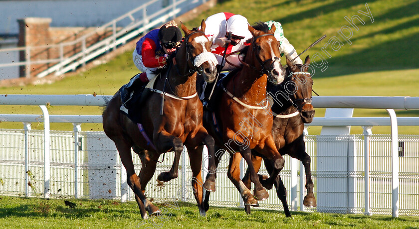 Natural-History-0003 
 NATURAL HISTORY (left, Oisin Murphy) beats GOSHEN (centre) and SPEED COMPANY (right) in The Join tote.co.uk Handicap
Goodwood 11 Oct 2020 - Pic Steven Cargill / Racingfotos.com