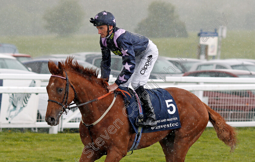 My-Lord-And-Master-0001 
 MY LORD AND MASTER (Daniel Tudhope) Epsom 25 Apr 2018 - Pic Steven Cargill / Racingfotos.com