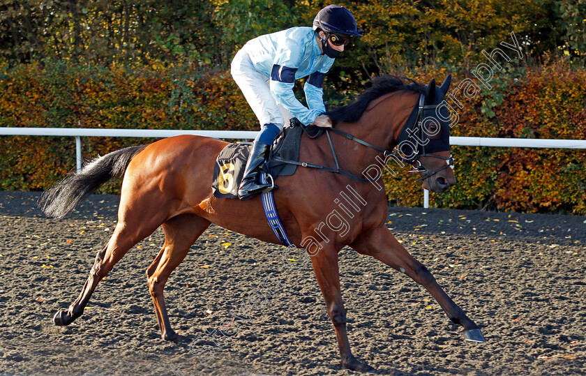 Fantail-0002 
 FANTAIL (William Buick)
Kempton 2 Nov 2020 - Pic Steven Cargill / Racingfotos.com