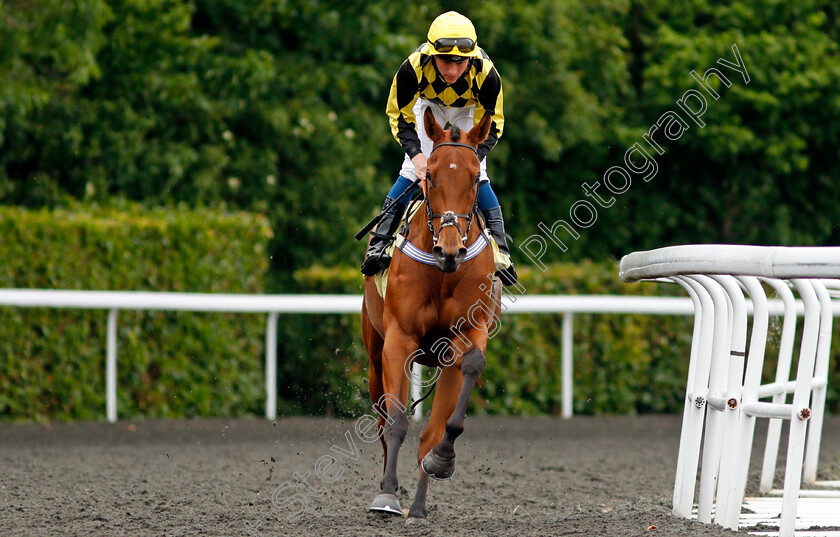 Move-Over-Darlin-0002 
 MOVE OVER DARLIN (William Carver)
Kempton 2 Jun 2021 - Pic Steven Cargill / Racingfotos.com