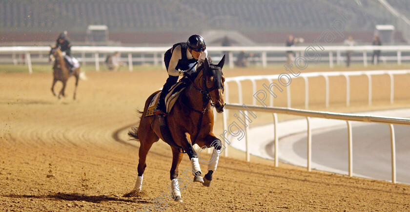 Red-Le-Zele-0001 
 RED LE ZELE training for the Golden Shaheen
Meydan, Dubai, 22 Mar 2022 - Pic Steven Cargill / Racingfotos.com