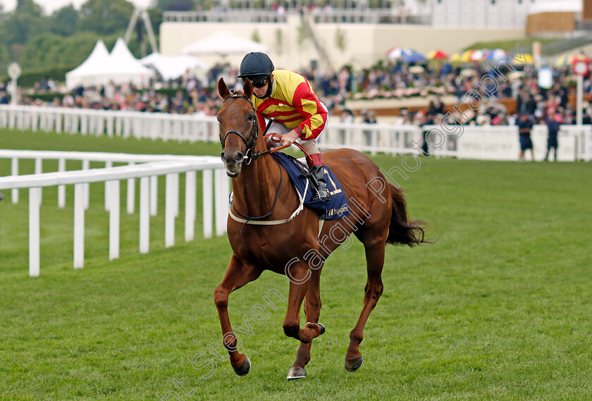 Sir-Ron-Priestley-0001 
 SIR RON PRIESTLEY (Franny Norton)
Ascot 19 Jun 2021 - Pic Steven Cargill / Racingfotos.com