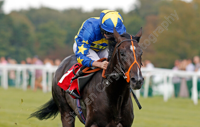 Bathsheba-Bay-0007 
 BATHSHEBA BAY (Ryan Moore) wins The British Stallion Studs EBF Maiden Stakes Div2 Sandown 1 Sep 2017 - Pic Steven Cargill / Racingfotos.com