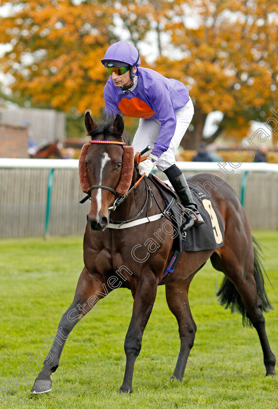 Sea-Of-Cool-0001 
 SEA OF COOL (Gerald Mosse)
Newmarket 23 Oct 2019 - Pic Steven Cargill / Racingfotos.com