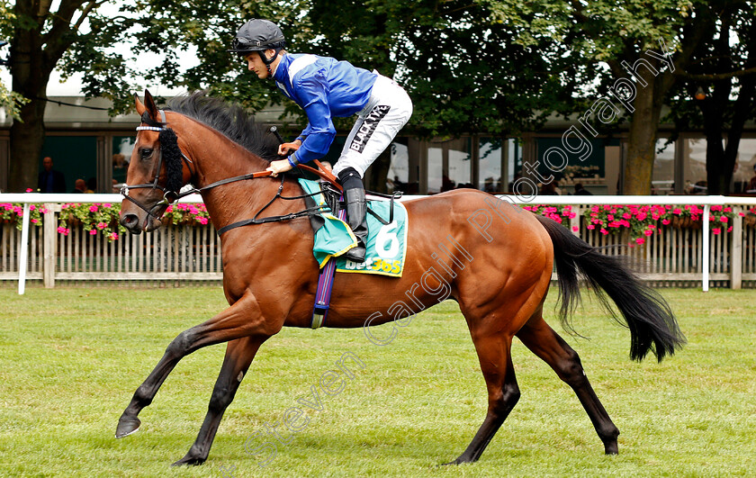 Akwaan-0001 
 AKWAAN (Harry Bentley)
Newmarket 13 Jul 2019 - Pic Steven Cargill / Racingfotos.com