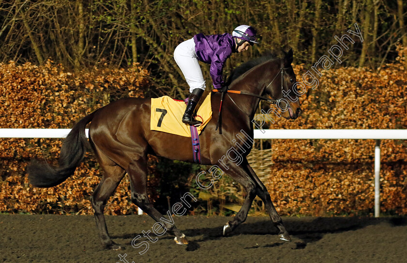 Lady-Bancroft-0001 
 LADY BANCROFT (Laura Pearson)
Kempton 14 Feb 2024 - Pic Steven Cargill / Racingfotos.com