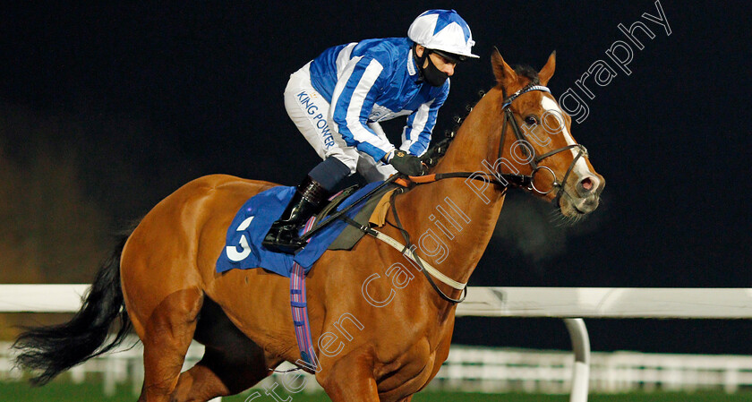 Johnny-Drama-0002 
 JOHNNY DRAMA (Silvestre De Sousa) winner of The Unibet Wild Flower Stakes
Kempton 2 Dec 2020 - Pic Steven Cargill / Racingfotos.com