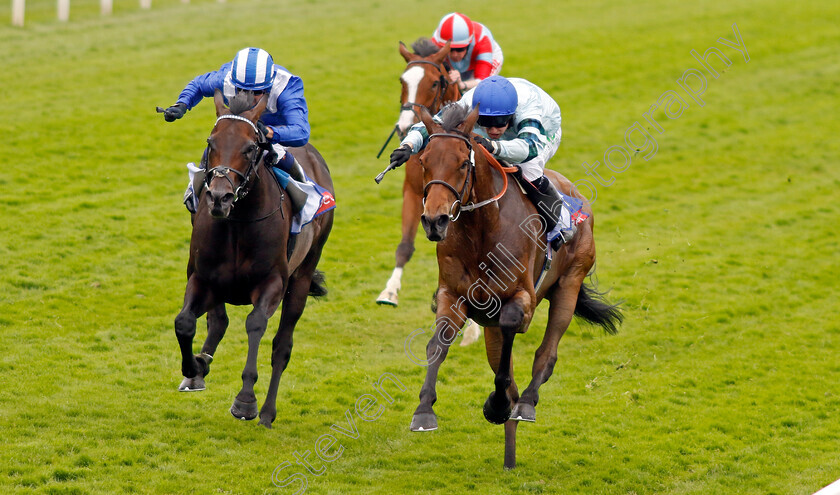 Quickthorn-0008 
 QUICKTHORN (right, Jason Hart) beats ISRAR (left) in The Sky Bet Grand Cup
York 17 Jun 2023 - Pic Steven Cargill / Racingfotos.com