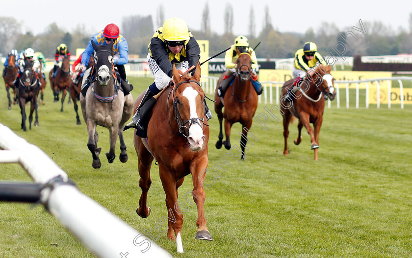 Raise-You-0002 
 RAISE YOU (Oisin Murphy) wins The Dubai Duty Free Tennis Championships Maiden Stakes Div2
Newbury 13 Apr 2019 - Pic Steven Cargill / Racingfotos.com