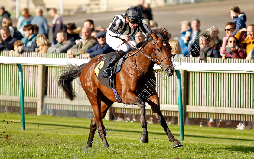 High-Fibre-0005 
 HIGH FIBRE (Rob Hornby) wins The 888sport What's Your Thinking Nursery
Newmarket 30 Oct 2021 - Pic Steven Cargill / Racingfotos.com