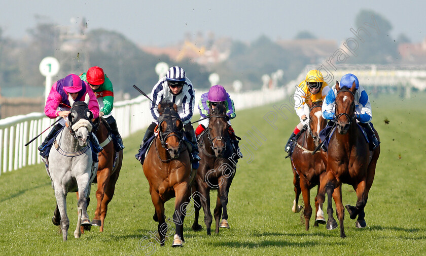 Grandfather-Tom-0005 
 GRANDFATHER TOM (centre, Ray Dawson) beats CASE KEY (left) in The Follow At The Races On Twitter Handicap
Yarmouth 15 Sep 2020 - Pic Steven Cargill / Racingfotos.com