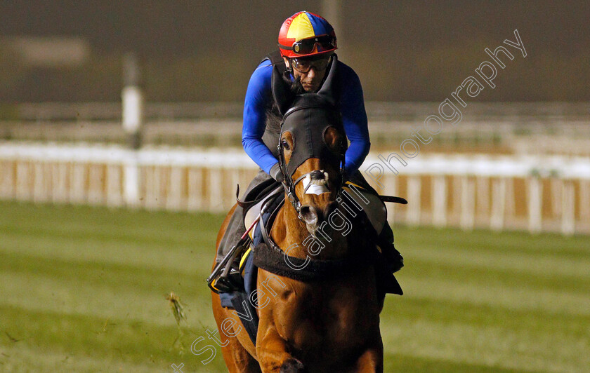 Lord-North-0002 
 LORD NORTH (Frankie Dettori) training for The Dubai Turf
Meydan, Dubai, 24 Mar 2022 - Pic Steven Cargill / Racingfotos.com