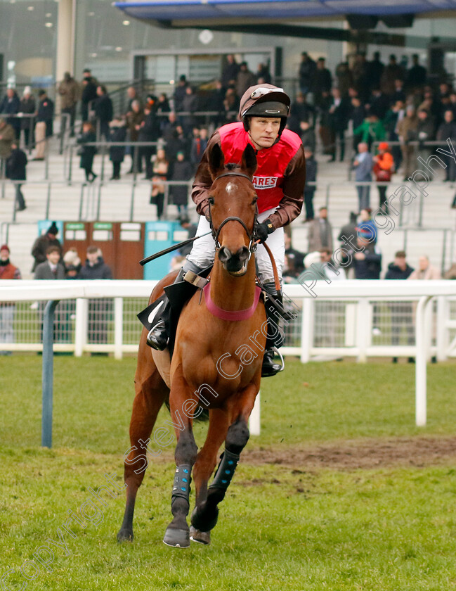 In-d Or-0005 
 IN D'OR (David Maxwell) winner of The Betmgm Handicap Chase
Ascot 18 Jan 2025 - Pic Steven Cargill / Racingfotos.com