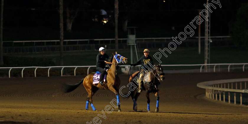 Chatalas-0001 
 CHATALAS training for The Breeders' Cup Juvenile Fillies
Santa Anita USA, 30 Oct 2023 - Pic Steven Cargill / Racingfotos.com