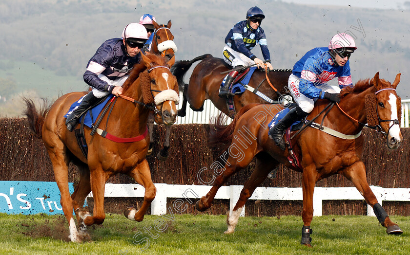 Dingo-Dollar-0001 
 DINGO DOLLAR (right, Wayne Hutchinson) with SOMEWHERE TO BE (left)
Cheltenham 17 Apr 2019 - Pic Steven Cargill / Racingfotos.com