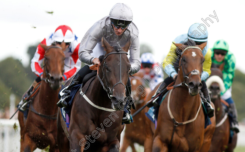 Commanding-Officer-0005 
 COMMANDING OFFICER (Daniel Tudhope) wins The British Stallion Studs EBF Convivial Maiden Stakes
York 24 Aug 2018 - Pic Steven Cargill / Racingfotos.com