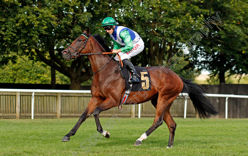 Just-Wonder-0002 
 JUST WONDER (Tom Marquand)
Newmarket 6 Aug 2021 - Pic Steven Cargill / Racingfotos.com