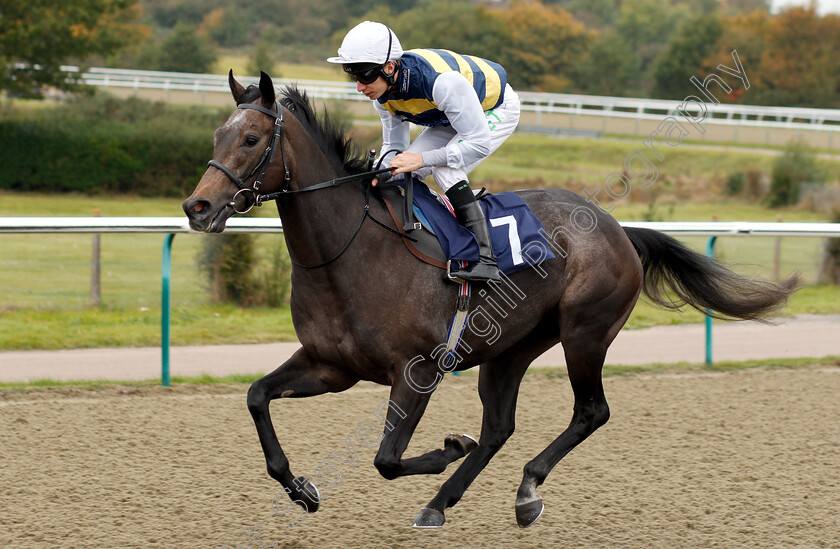 Alexandria-0001 
 ALEXANDRIA (Luke Morris)
Lingfield 4 Oct 2018 - Pic Steven Cargill / Racingfotos.com