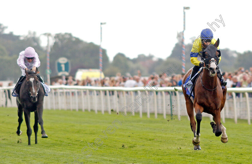 Soulcombe-0003 
 SOULCOMBE (Hollie Doyle) wins The Sky Bet Melrose Stakes
York 20 Aug 2022 - Pic Steven Cargill / Racingfotos.com