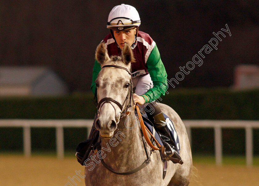 Lethal-Talent-0001 
 LETHAL TALENT (Tyler Saunders)
Wolverhampton 20 Jan 2020 - Pic Steven Cargill / Racingfotos.com