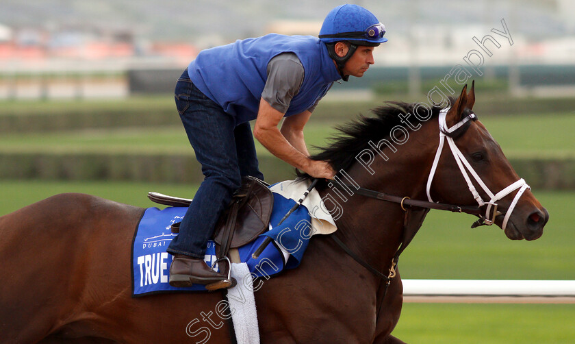 True-Timber-0002 
 TRUE TIMBER training for the Godolphin Mile
Meydan 27 Mar 2019 - Pic Steven Cargill / Racingfotos.com