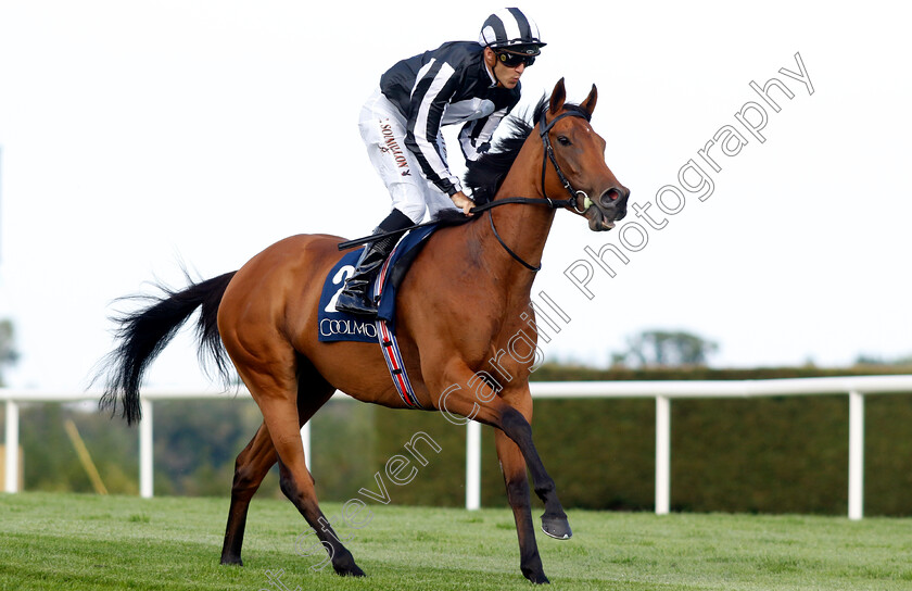 Jumbly-0001 
 JUMBLY (Christophe Soumillon)
Leopardstown 9 Sep 2023 - Pic Steven Cargill / Racingfotos.com